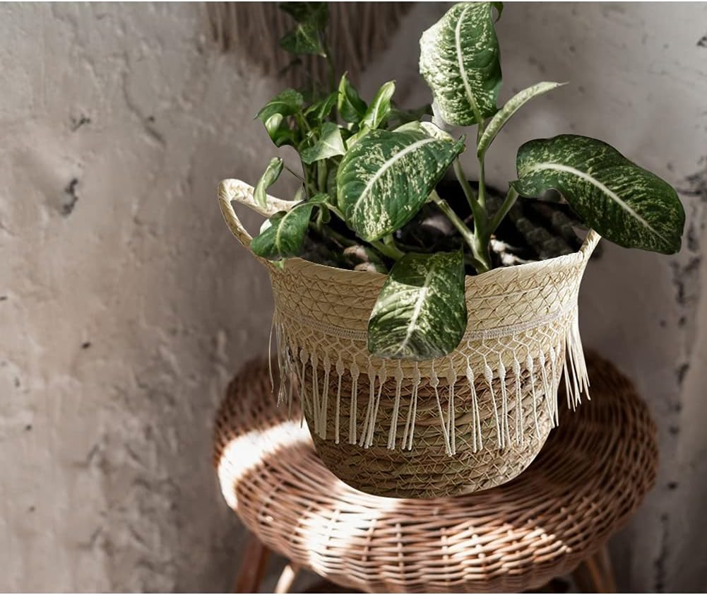 Cesta de almacenamiento tejida de hierba marina para plantas, cesta de lavandería de egrass, cestas decorativas de mimbre con asas, cesta de vientre
