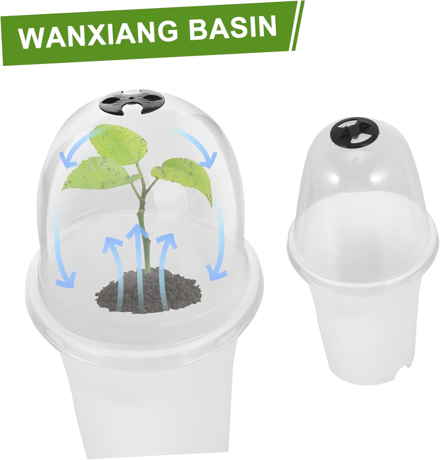 Yardwe 6 piezas de cubierta de asfixia para suculentas, bandeja de plástico, para suculentas, cubierta protectora de plantas de plástico, bandejas
