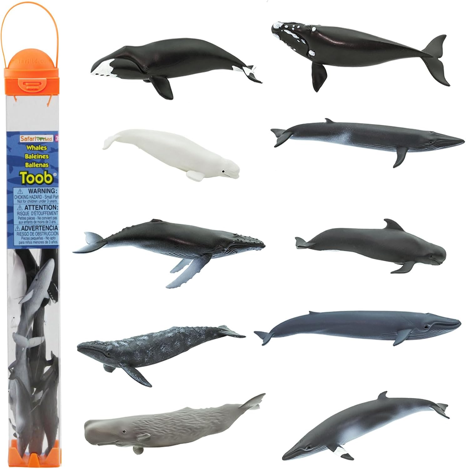Safari Ltd. Whale TOOB – Juego de figuras detalladas de plástico de 2.5 a 4 pulgadas, divertido juguete educativo de animales oceánicos para niños,