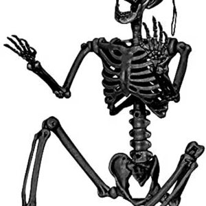 Decoración de esqueleto de Halloween, esqueleto de Halloween, tamaño real, articulaciones articuladas articuladas humanas de tamaño completo, cuerpo Decoración de esqueleto de Halloween, esqueleto de Halloween, tamaño real, articulaciones articuladas articuladas humanas de tamaño completo, cuerpo