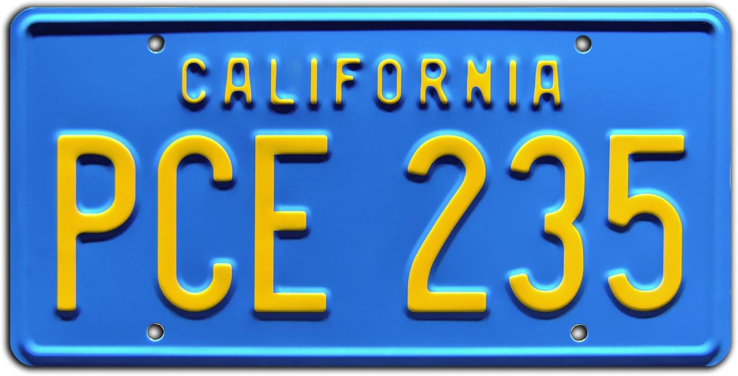 Stranger Things  PCE 235  Placa de matrícula estampada de metal