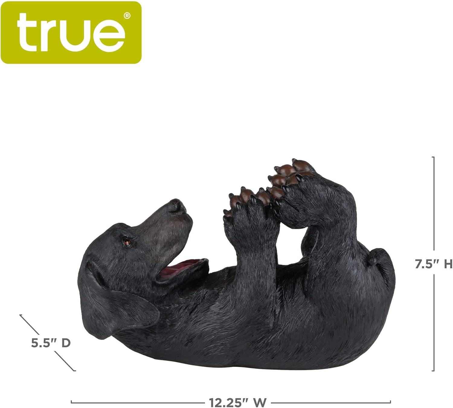 Foster & Rye de TWINE, cachorro juguetón, Negro