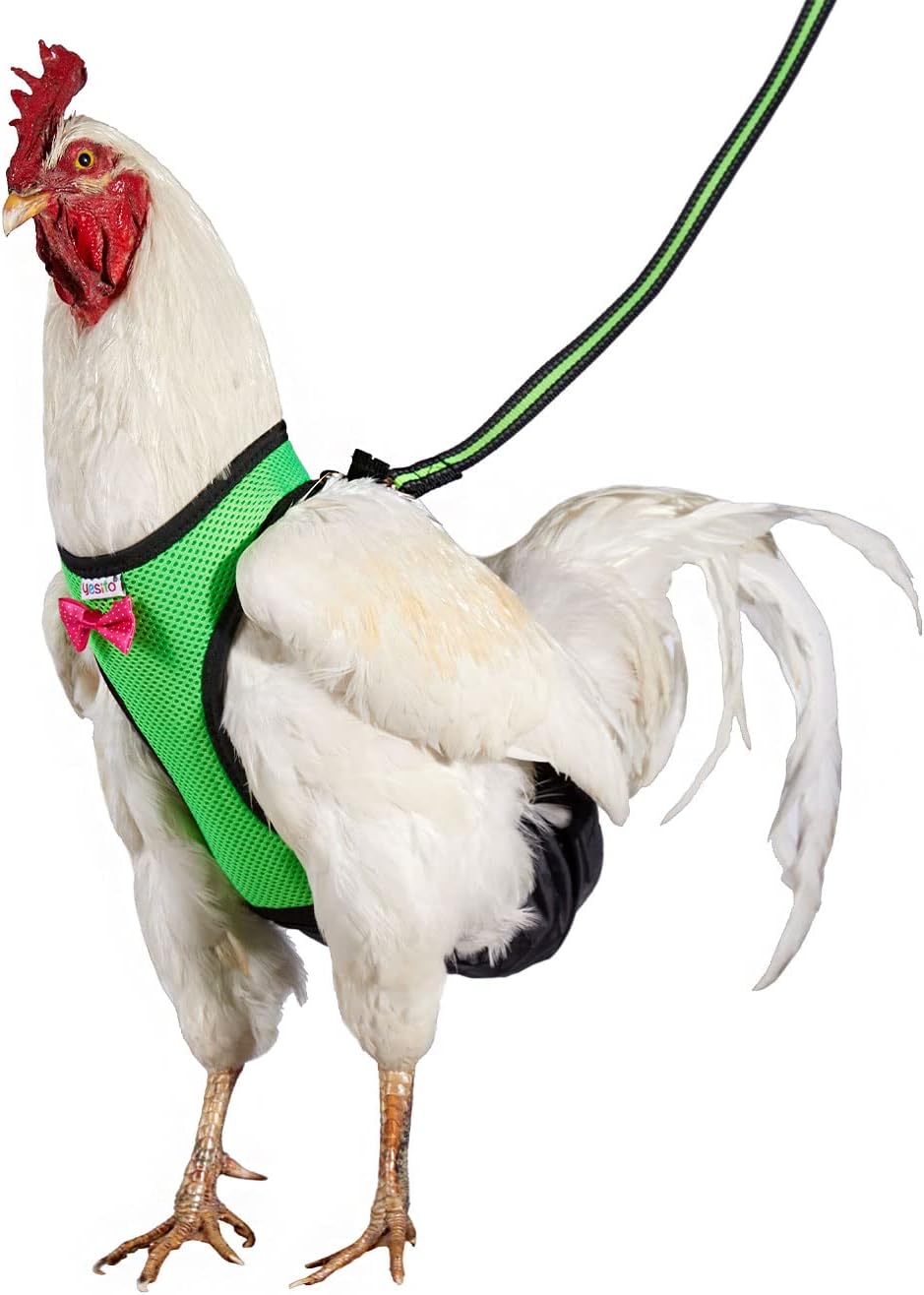 Arnés de pollo tamaño gallina con correa a juego de 6 pies lavable para mascotas, para pollitos, gansos, patos y más – Facilita el entrenamiento y