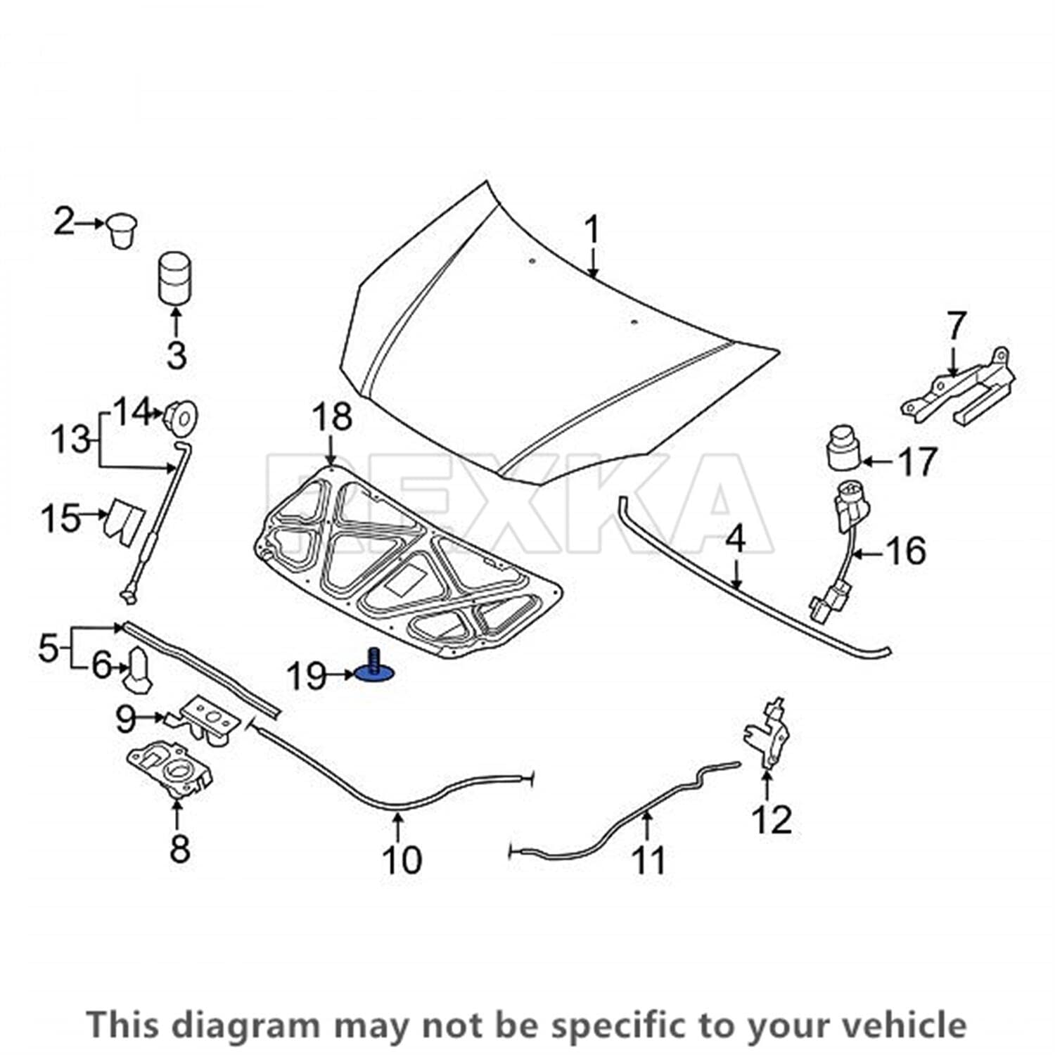 Rexka Clips de retención de aislamiento de capó para Hyundai Kia 81126-37010 Accent Azera Elantra Santa Fe Sonata Tucson Amanti Borrego Cadenza
