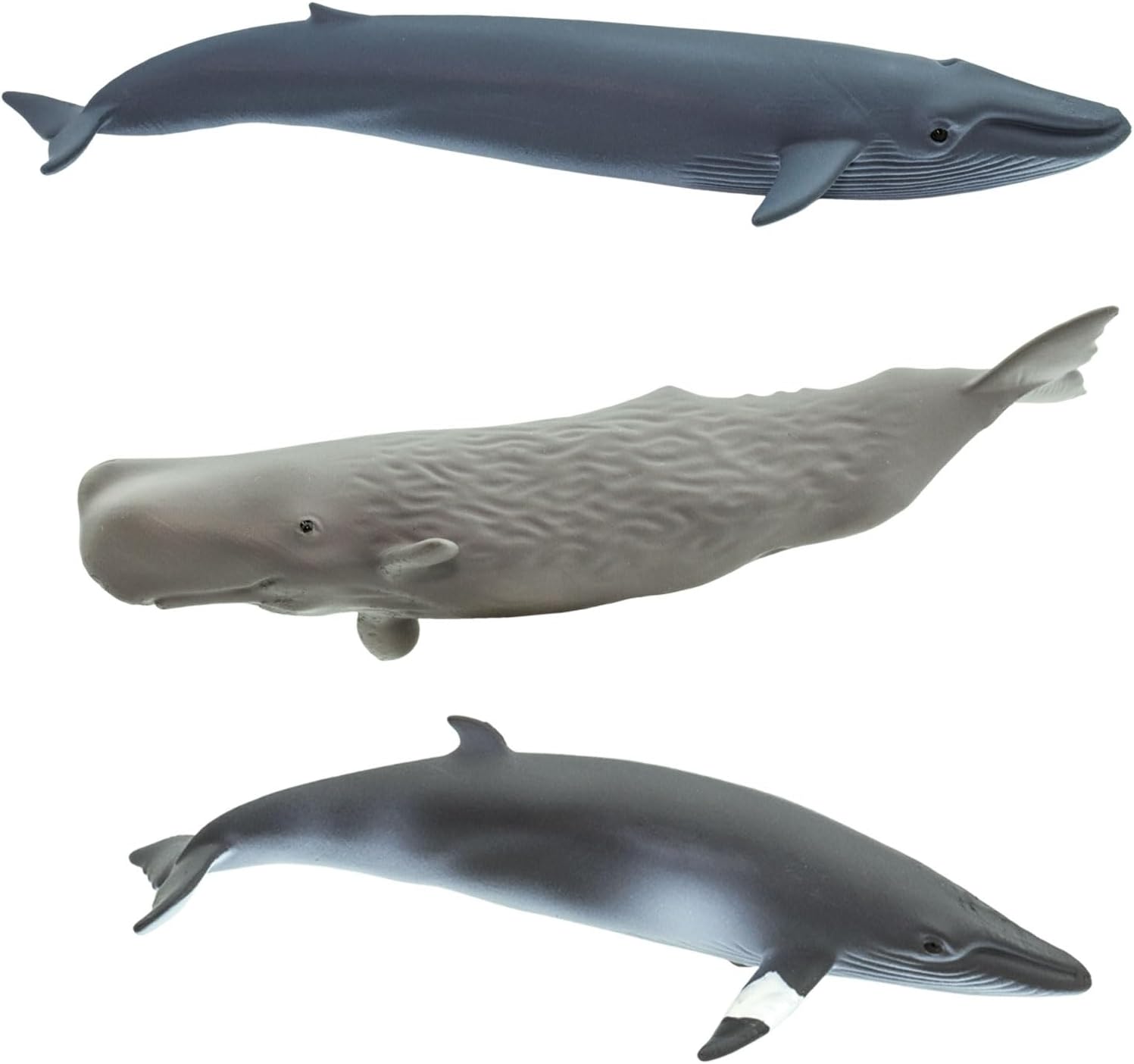 Safari Ltd. Whale TOOB – Juego de figuras detalladas de plástico de 2.5 a 4 pulgadas, divertido juguete educativo de animales oceánicos para niños,