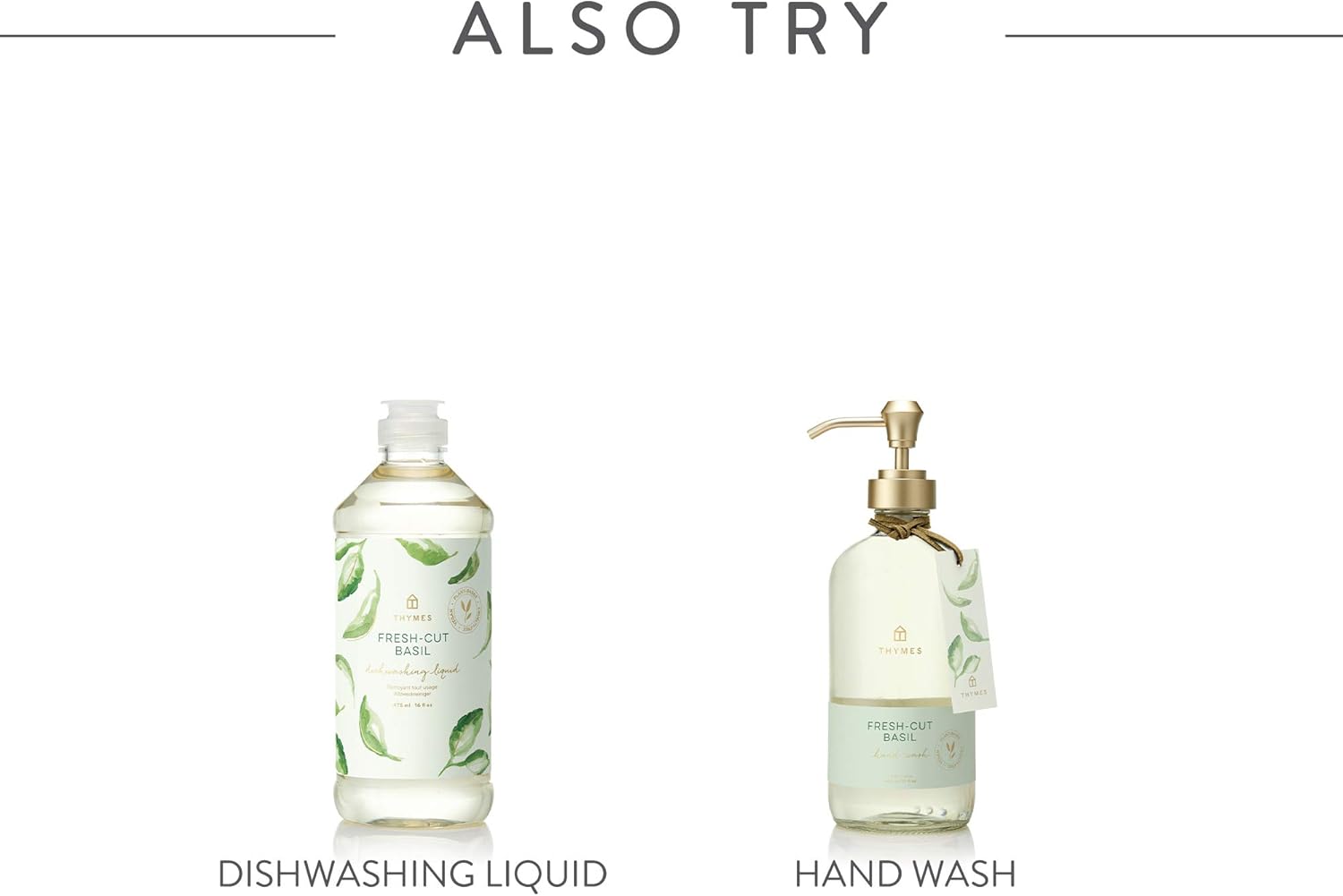 Thymes Difusor de varillas Petite – 4 onzas líquidas – Albahaca recién cortada
