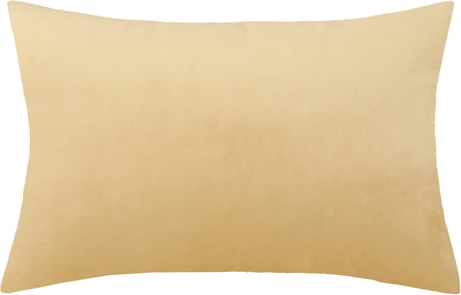 TangDepot Juego de 2 fundas de almohada de terciopelo súper suaves, fundas de almohada lumbar, fundas de almohada – (12 x 18 pulgadas, 2 piezas, F01