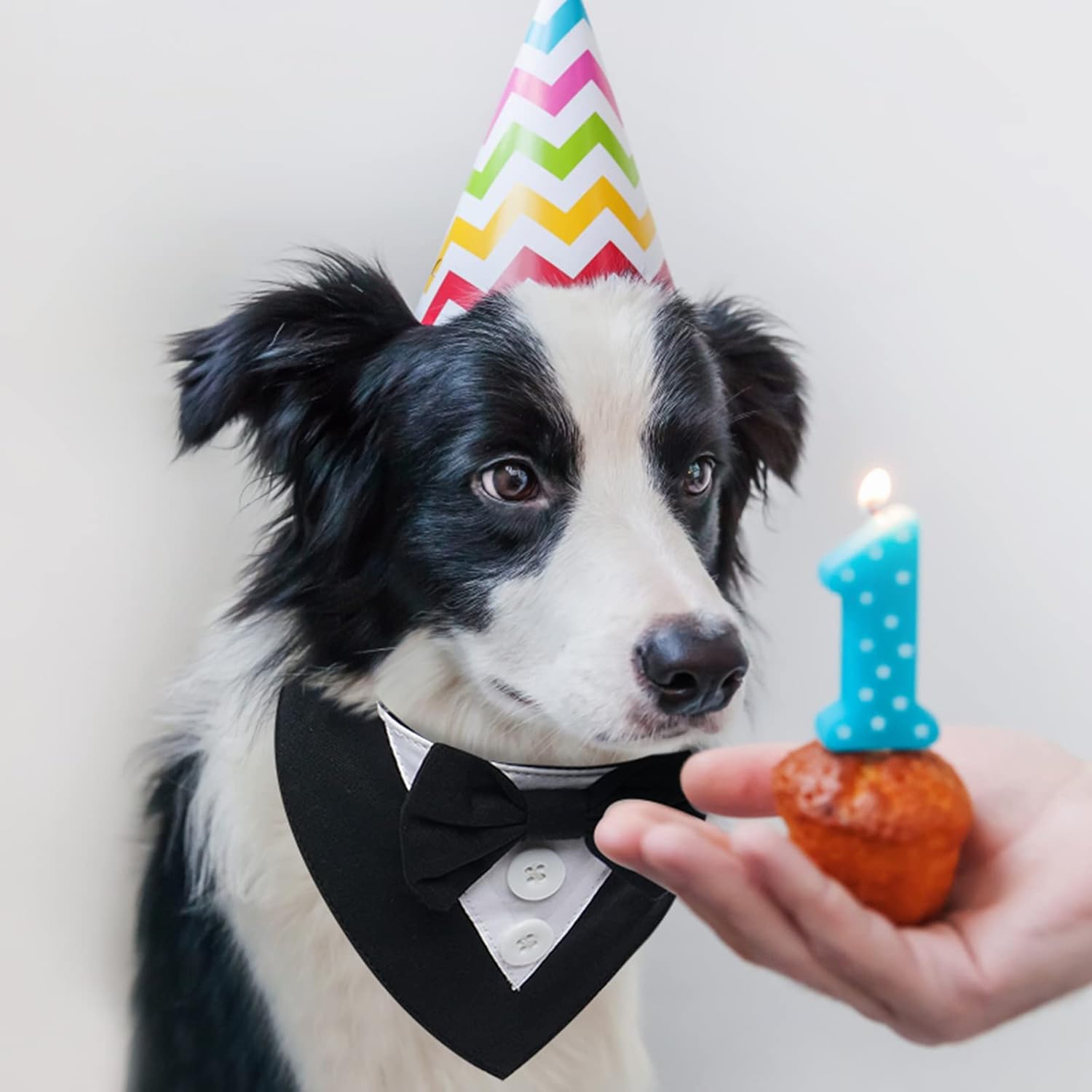 FUAMEY Esmoquin para perro, bandana formal de boda para perro, collar de perro con pajarita, disfraz de cumpleaños para perro, disfraz de cumpleaños