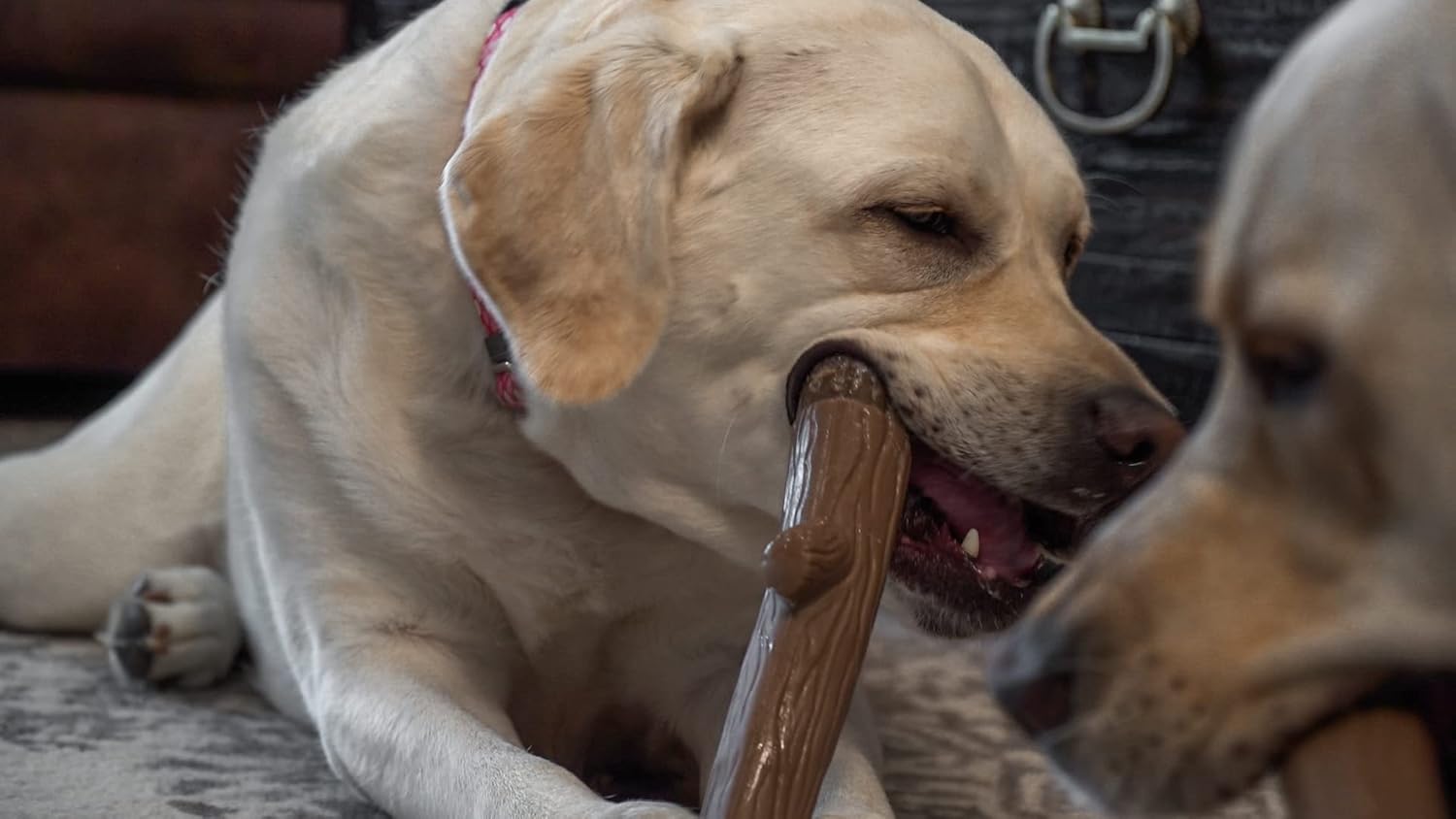 Hero Bonetics Stick – Juguete masticable para perros con aroma a madera, suave para los dientes y el abdomen