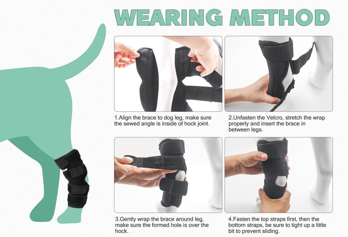 Lyderpet Soporte de pierna de perro para articulación trasera de corvejón, envoltura de compresión fuerte apoyo para pierna trasera para lesiones y
