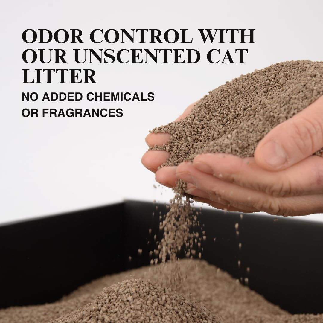 Arena natural para gatos de posos de café reciclado, alternativa a la arena de arcilla y pellets, arena para gatos sin perfume, arena ligera,