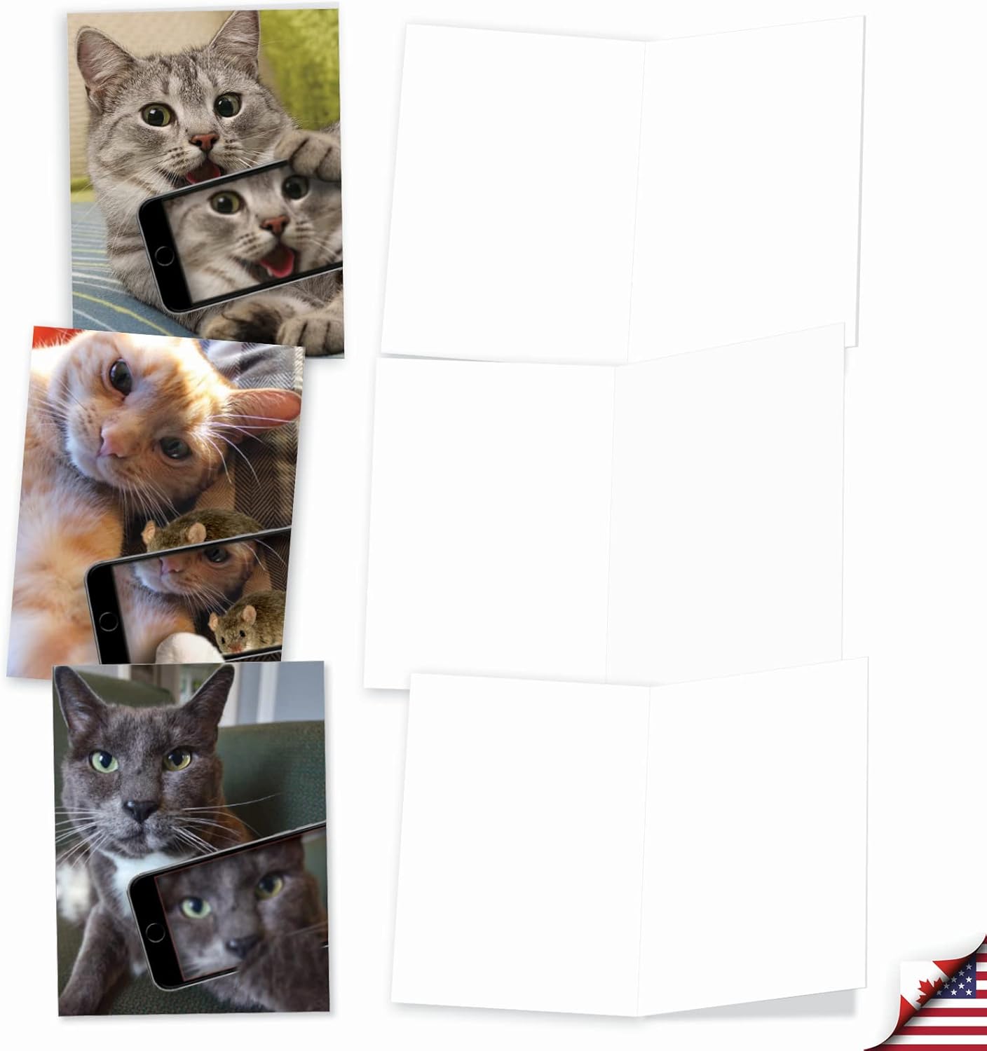 The Best Card Company – Tarjetas de animales en blanco en caja, 4 x 5.12 pulgadas, mascotas surtidas, zoológico, tarjetas de vida silvestre para