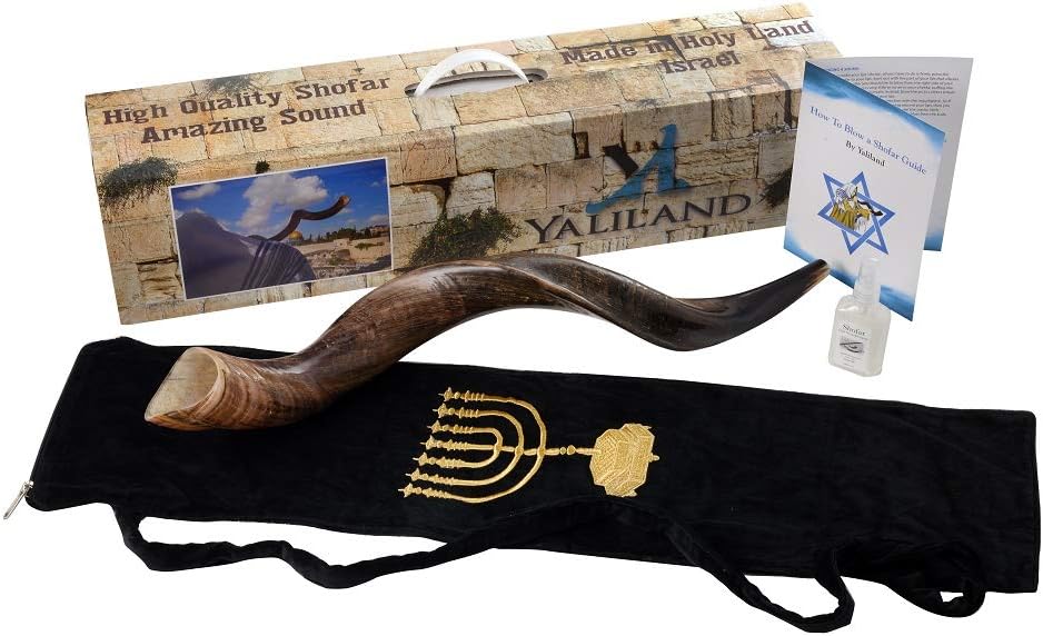 SHOFAR Set Full Natural Kudu Horn Yemenite + Bolsa + Guía + Estuche de transporte (30-32 pulgadas) de Israel