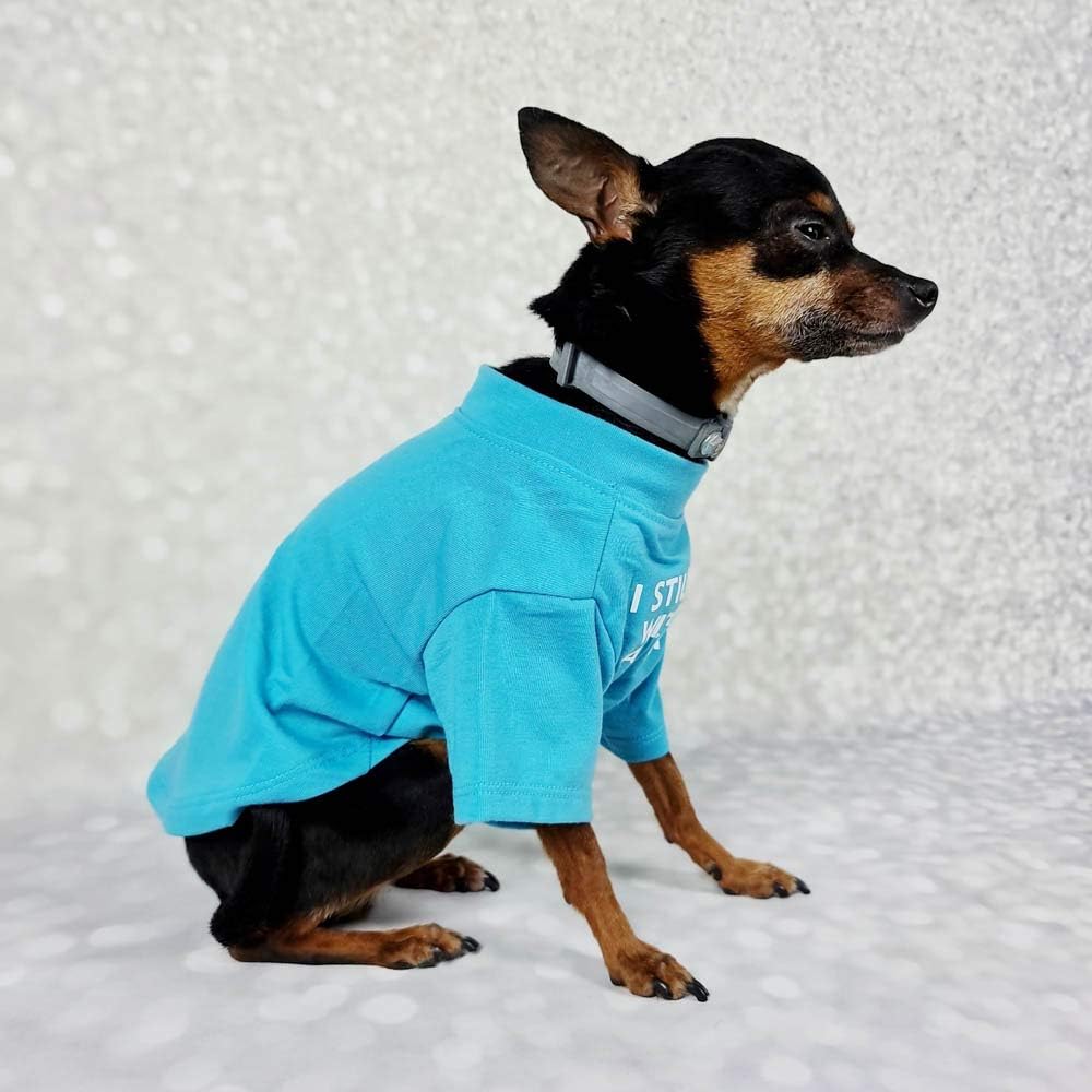 Camisa para perro de bulldog francés para mascotas, camisetas para cachorros, camiseta de gato, transpirable, elástica, disfraces, talla M