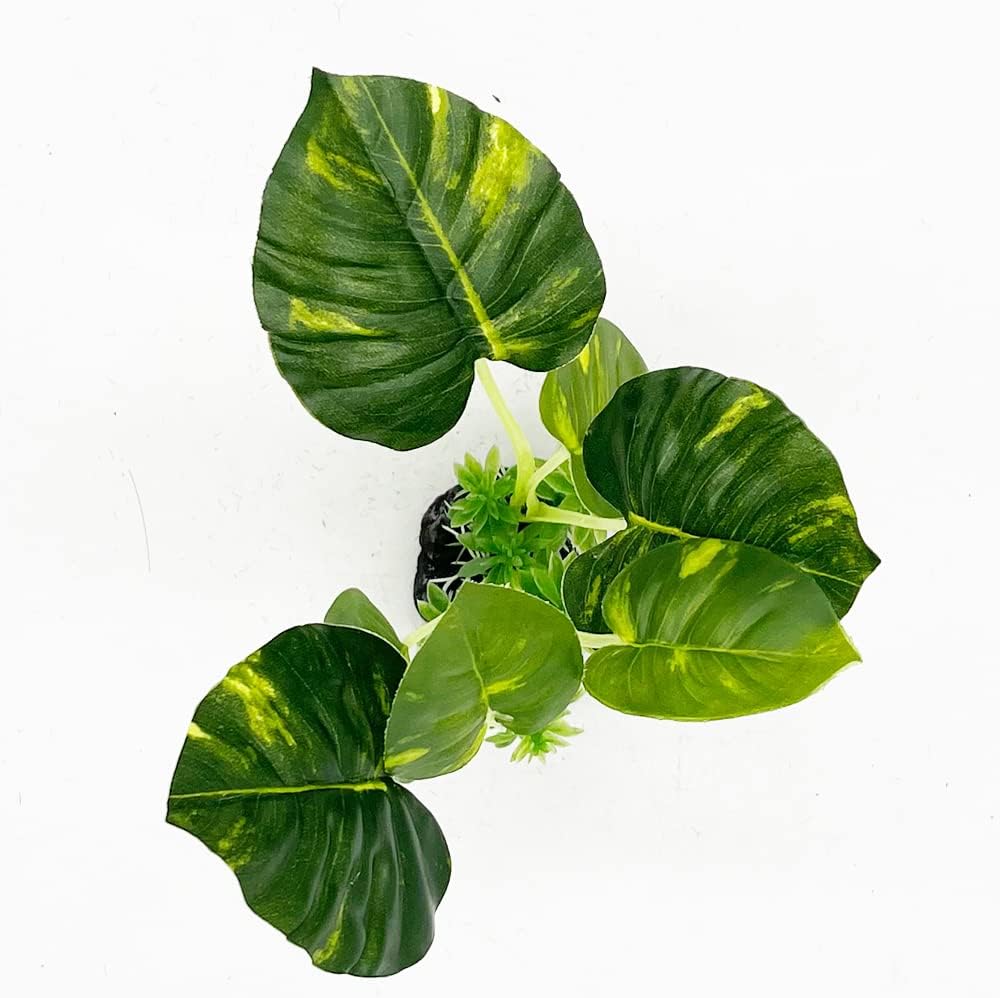 Plantas de acuario, decoraciones de pecera, plantas artificiales de plástico, peces dorados, paisaje acuático, cuerosdescanso (hoja)