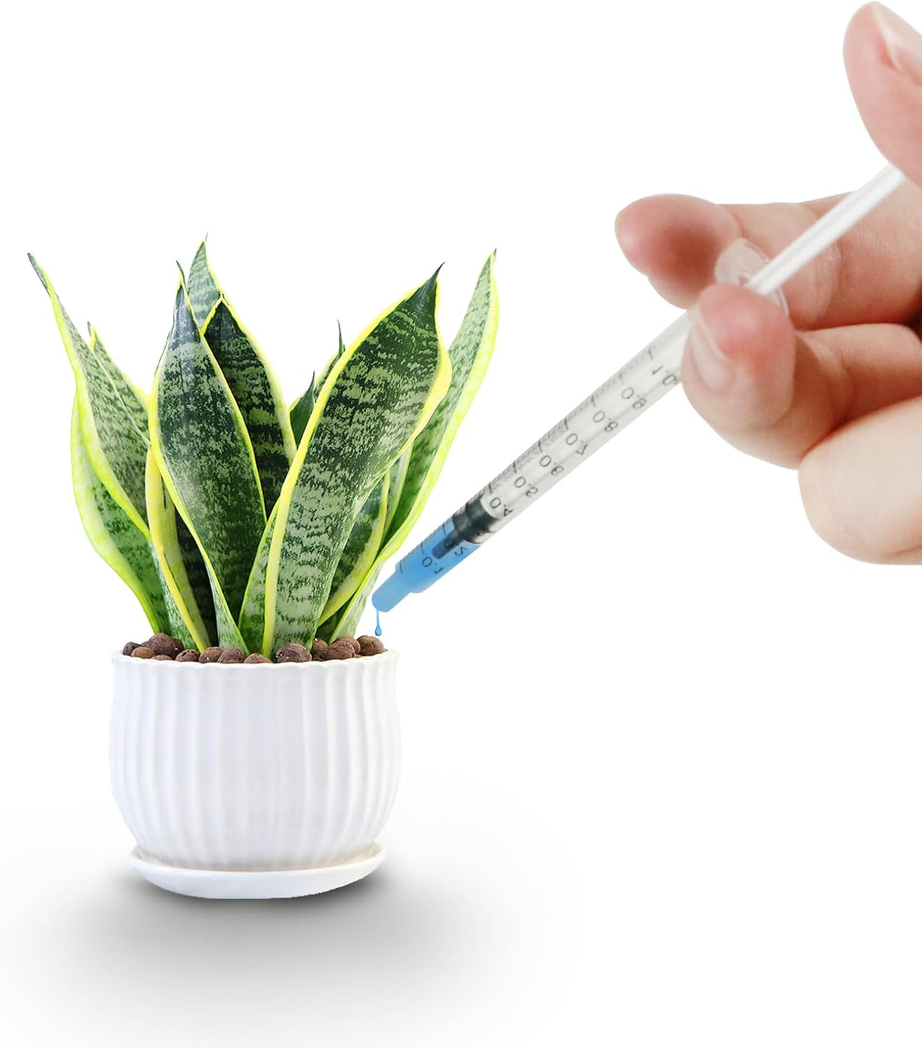 Paquete de 10 jeringas de plástico de 0.0 fl ozcc de jeringa de medición de líquidos, selladas individualmente con medición para laboratorios