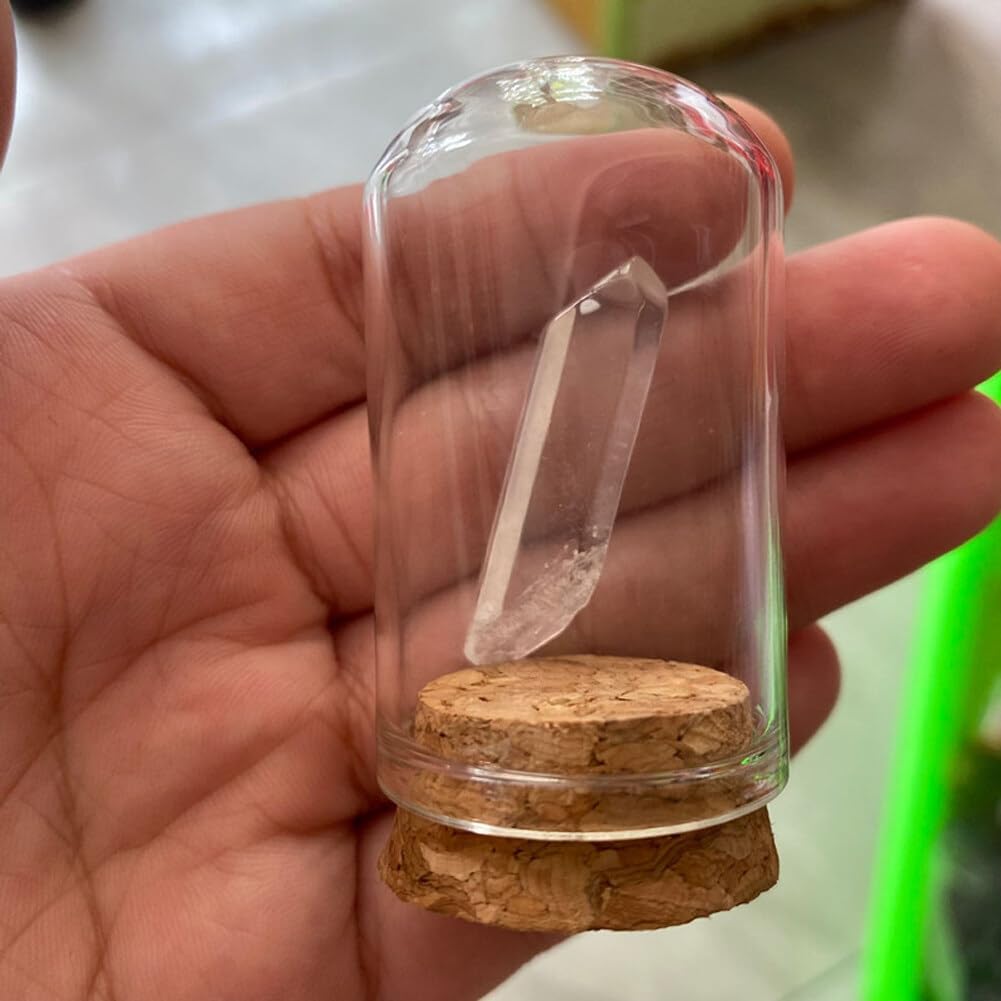 12PCS Mini Glass Dome Cloche Decorative Bell Jar with Cork Base for Flower Snad Storage Home Wedding Party Favors Arts and Small Projects 3x4cm