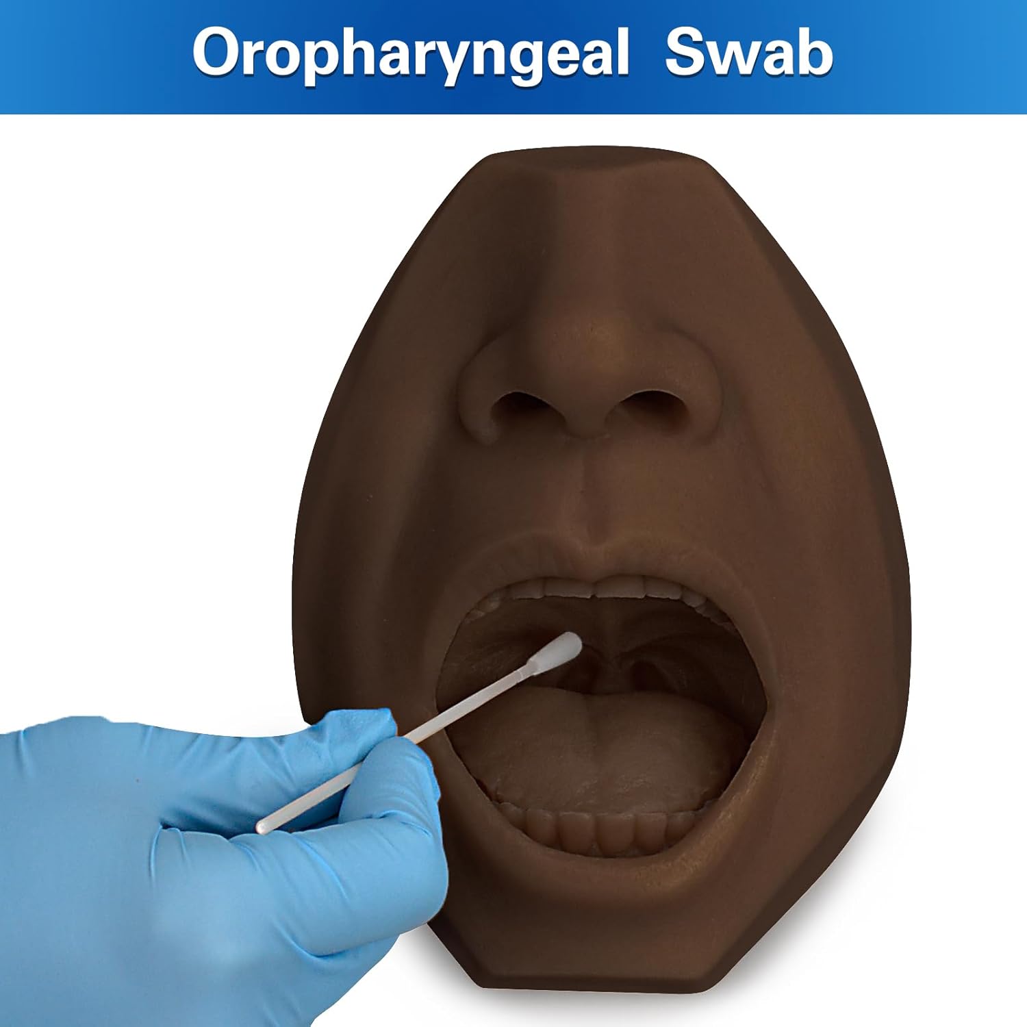 Hisopo nasal, modelo de entrenamiento de prueba de hisopos de garganta, simulador de colección de hisopos, hisopo oral de saliva, acupuntura, modelo