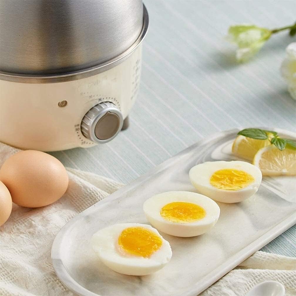 Raxinbang Caldera de huevos de 220 V, mini caldera eléctrica de vapor para huevos domésticos, acero inoxidable, olla automática para cocinar al