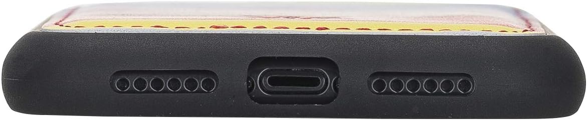Venito Lucca – Funda de piel compatible con iPhone 11 (6.1 pulgadas), extra segura con cubierta trasera acolchada (arcoíris)
