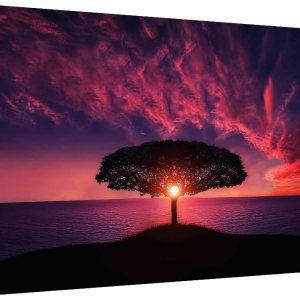 AIMUFAN Kits de pintura de diamantes grandes 5D para adultos, 27.5 x 15.7 pulgadas, puesta de sol, árbol, paisaje, kits de arte de diamantes grandes AIMUFAN Kits de pintura de diamantes grandes 5D para adultos, 27.5 x 15.7 pulgadas, puesta de sol, árbol, paisaje, kits de arte de diamantes grandes