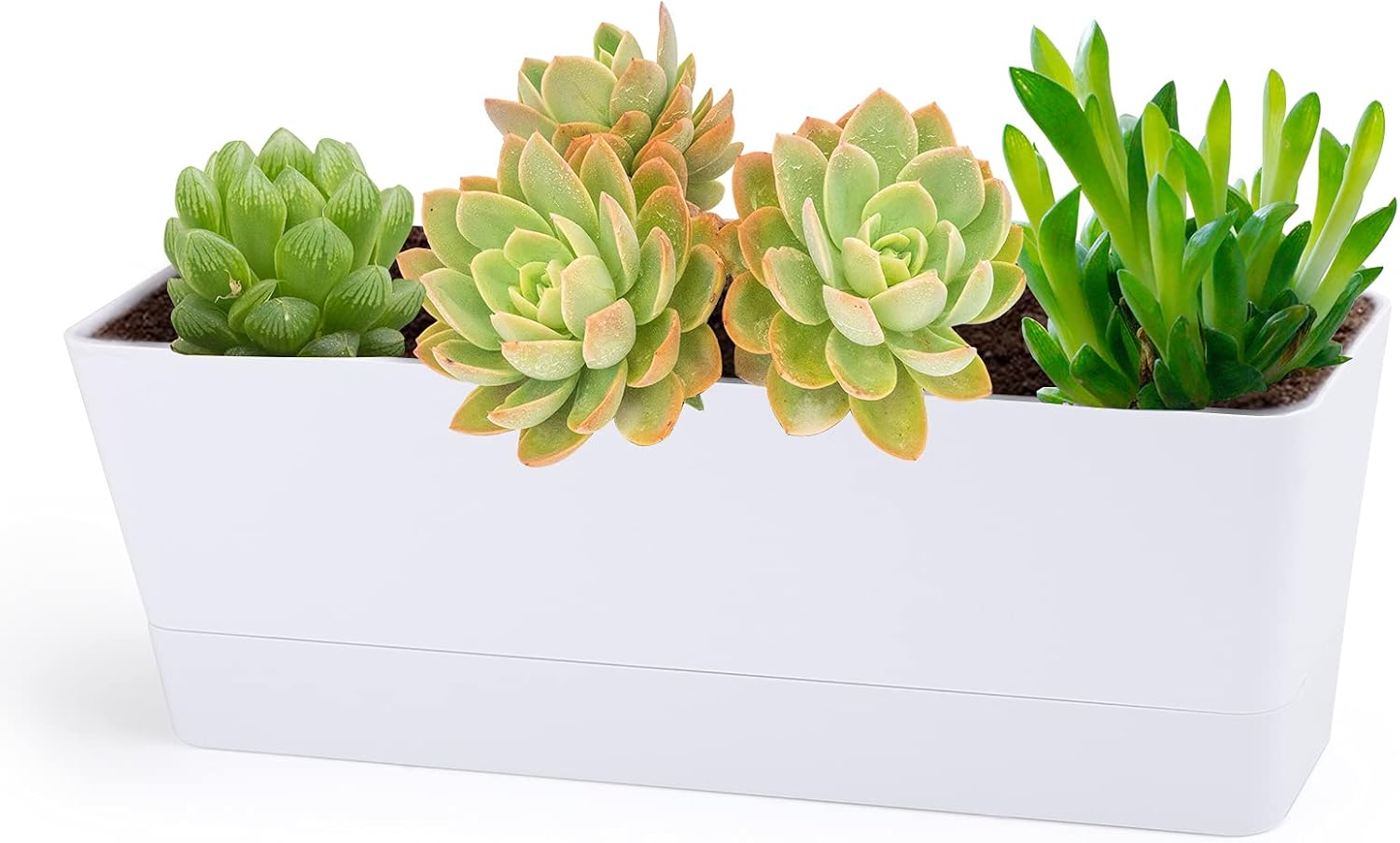GREANER – Maceta con bandeja para hierbas, 12 x 3.8 pulgadas, maceta rectangular para ventana, para flores o suculentas en interiores, maceta de