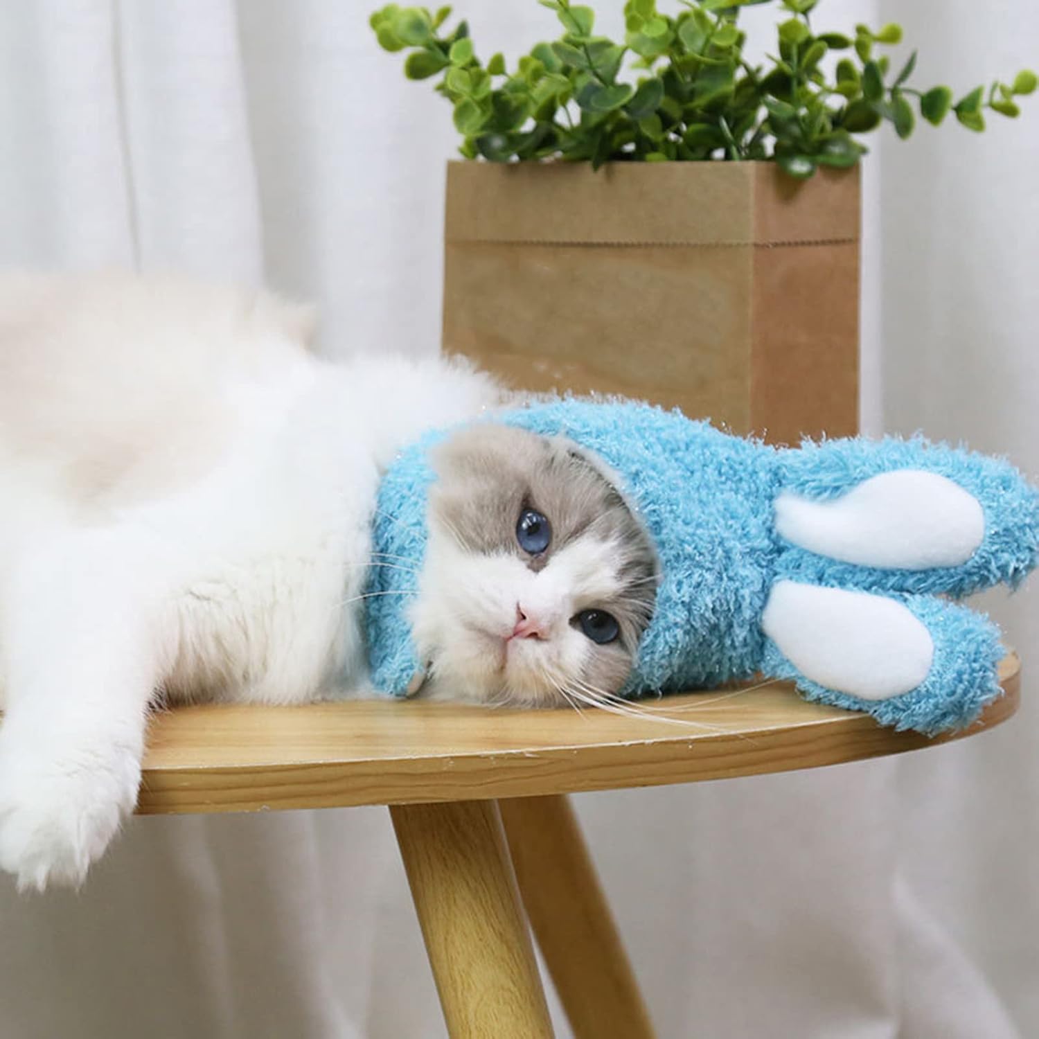 Lindo disfraz de Pascua, sombrero de conejo con orejas para gatos y perros pequeños, accesorio para mascotas, accesorio para la cabeza, 1 unidad
