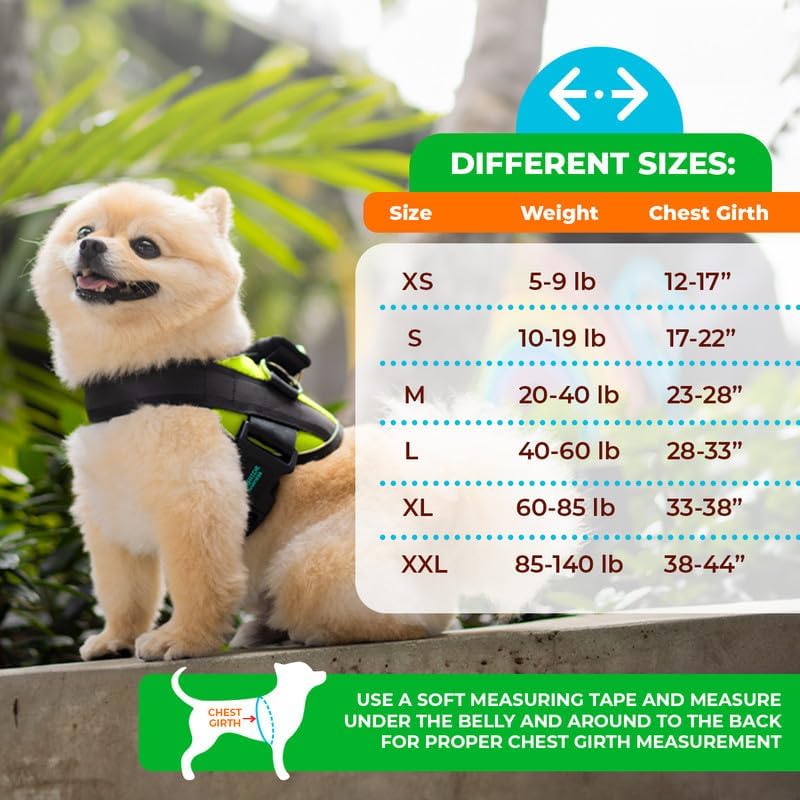Joyride Harness Arnés para mascotas sin tirones con etiqueta de nombre personalizable, logotipo que brilla en la oscuridad, 3 anillos laterales para