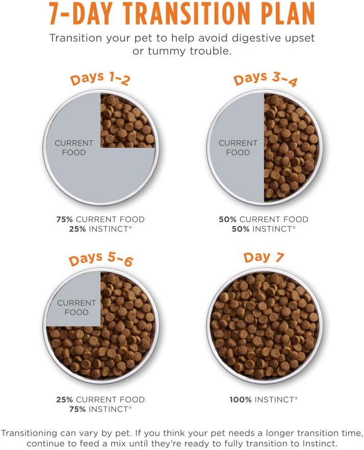 Instinct Original – Alimento seco para gatos, Rabbit