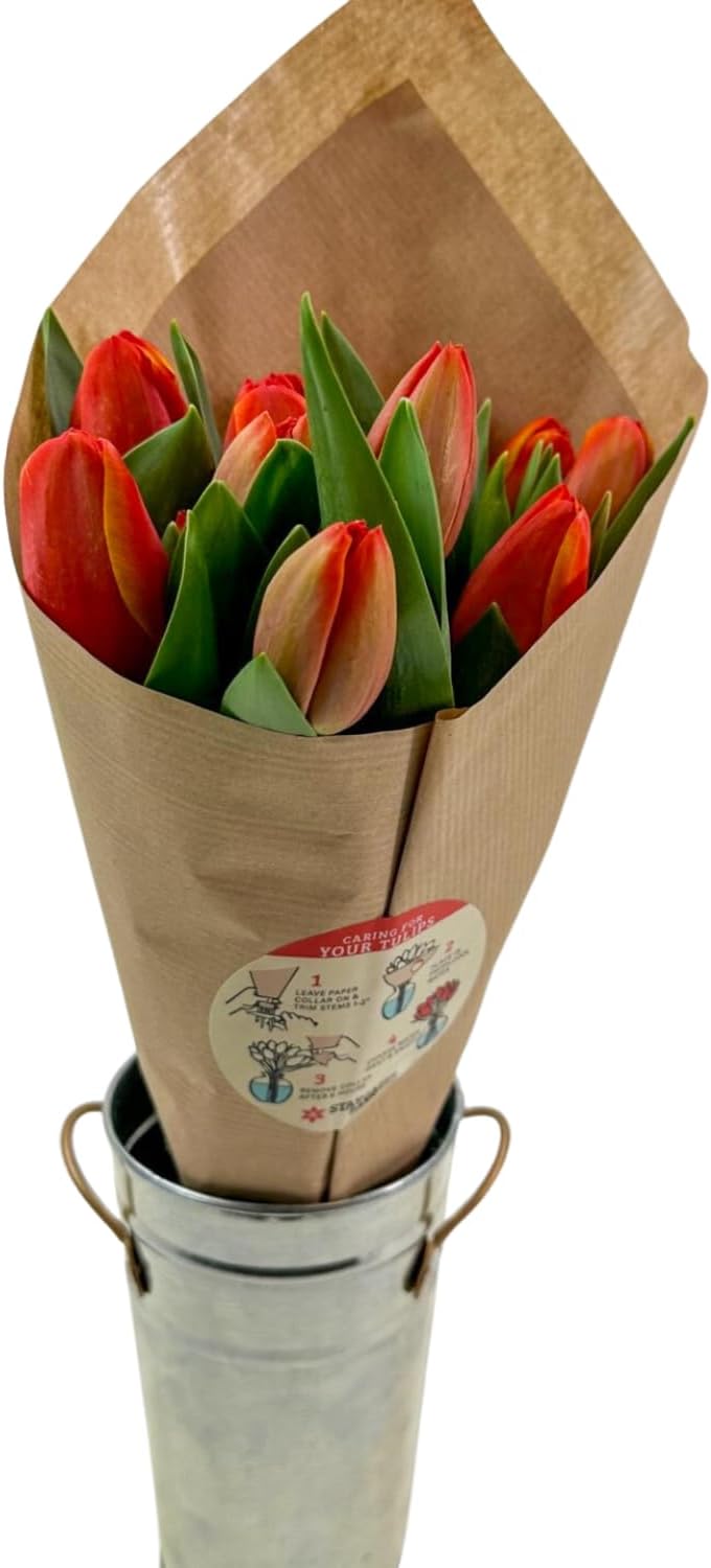 Stargazer Barn 15 tulipanes de especias de calabaza con jarrón ramo de flores frescas, entrega Prime durante la noche, directo a la granja, regalo