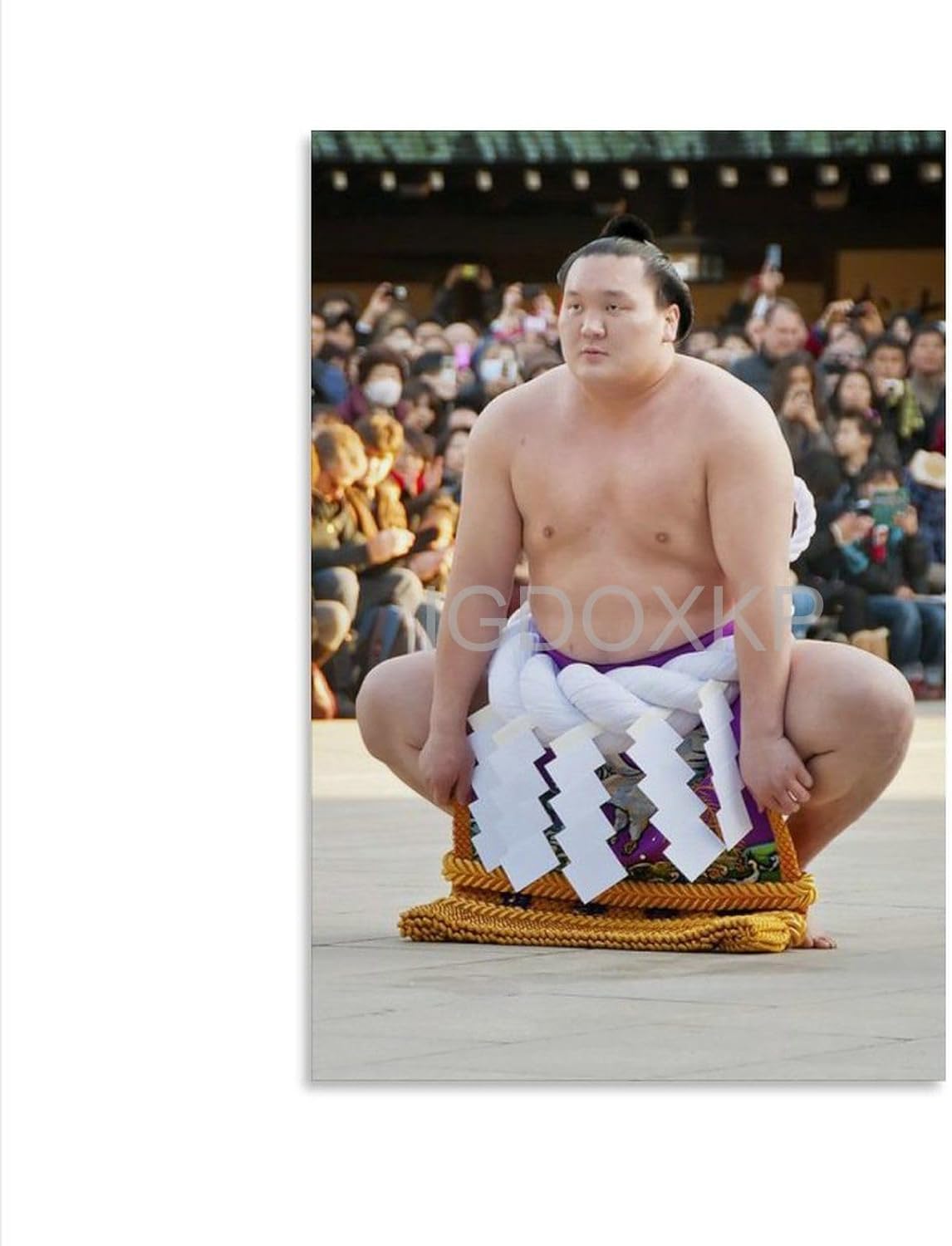 TROBER Hakuh Sh Yokozuna – Póster de arte de retrato maestro japonés de gran sumo luchador (3) póster de lienzo para decoración de dormitorio,