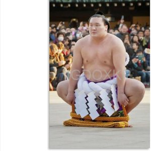 TROBER Hakuh Sh Yokozuna – Póster de arte de retrato maestro japonés de gran sumo luchador (3) póster de lienzo para decoración de dormitorio, TROBER Hakuh Sh Yokozuna – Póster de arte de retrato maestro japonés de gran sumo luchador (3) póster de lienzo para decoración de dormitorio,
