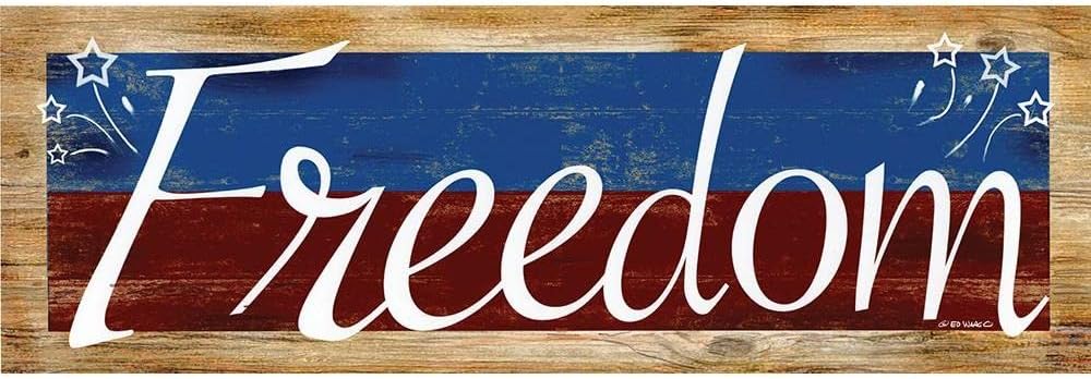 ArtDirect Freedom 18×9 Gallery Wrapped Canvas Museum Art by Wargo, Ed