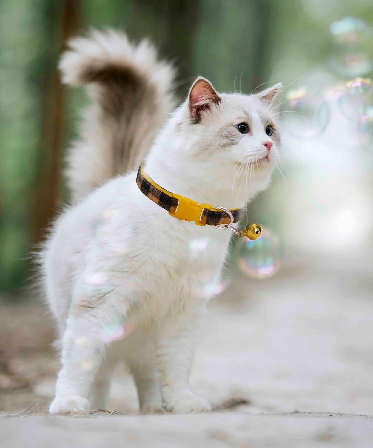 Paquete de 8 collares clásicos a cuadros para cachorros con campanas, collares de identificación de gato ajustables de 7.5 a 12.6 pulgadas, bonitos