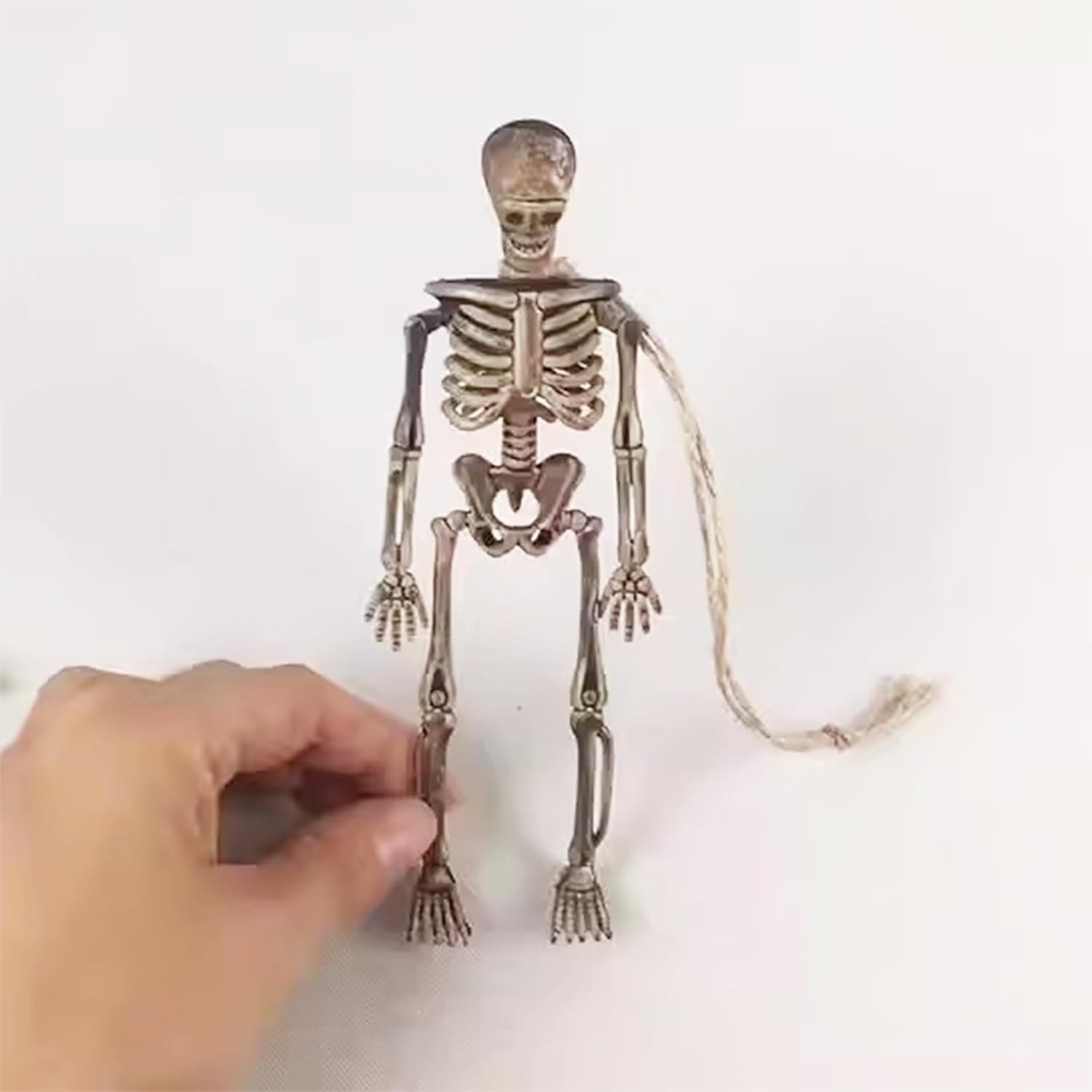 8 piezas de esqueleto de cuerpo completo de Halloween de 5.9 pulgadas, mini figuras de esqueleto, decoración colgante de casa embrujada, accesorios