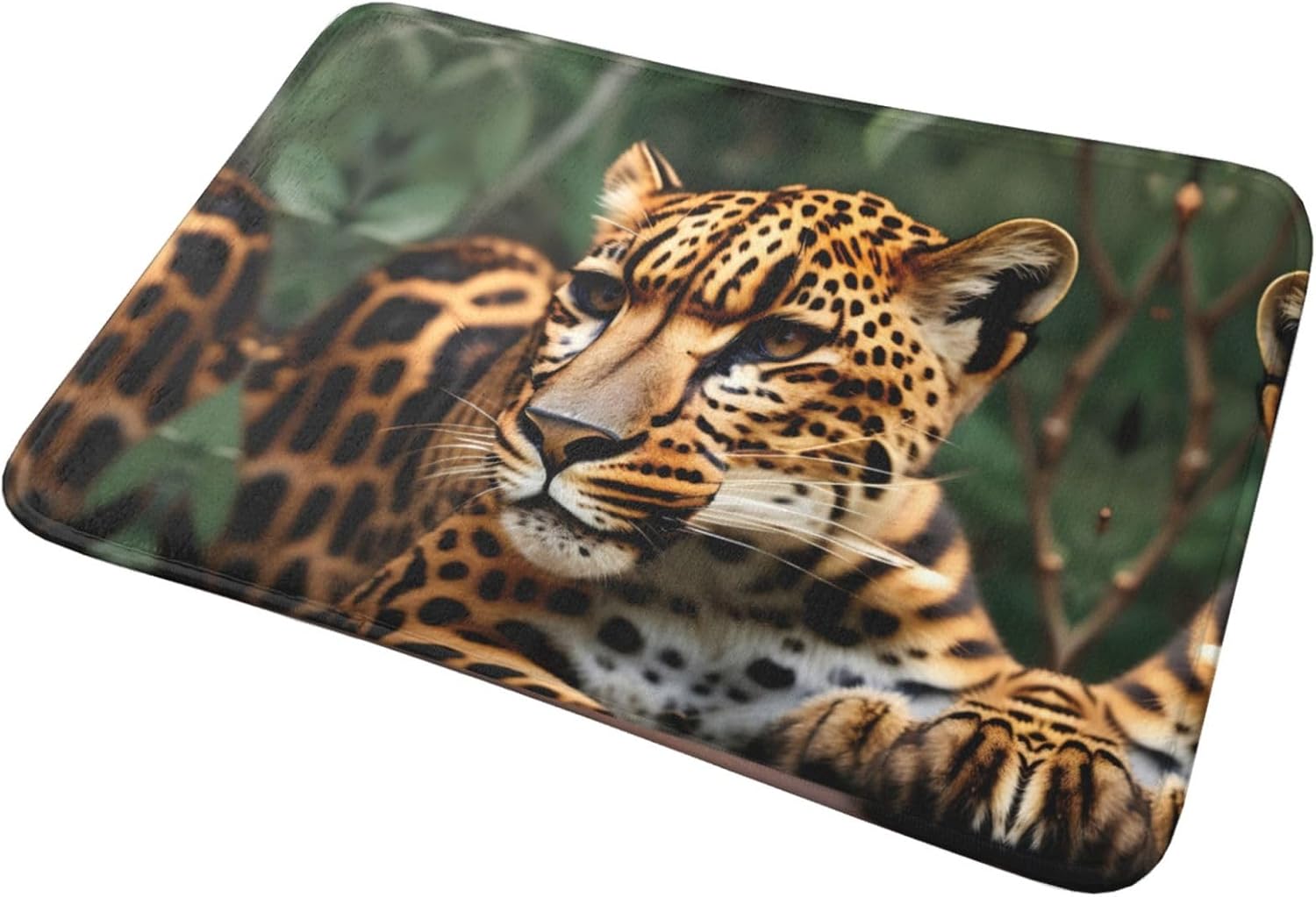 Tapete de puerta con patrón de leopardo, tapete de puerta exterior para el piso de entrada del hogar, fácil de limpiar, tapetes de patio, 16 x 24