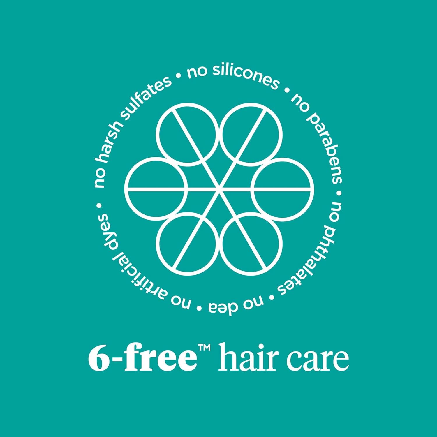 Briogeo Destinado a la densidad Cafeína + Biotina Peptide Champú y Acondicionador, Aumenta el grosor y la densidad del cabello, 8 onzas cada uno
