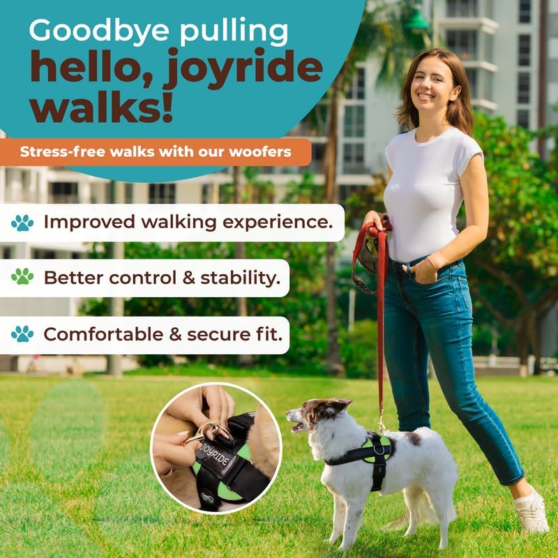 Joyride Harness Arnés para mascotas sin tirones con etiqueta de nombre personalizable, logotipo que brilla en la oscuridad, 3 anillos laterales para