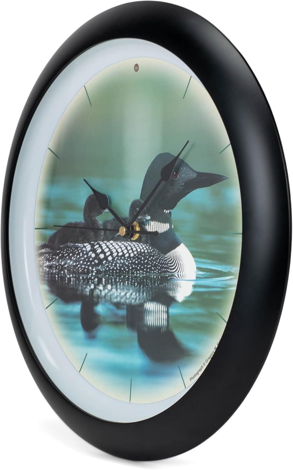 Mark Feldstein & Associates Call of The Loon Artwork – Reloj de pared con sonido negro mate de 13 pulgadas