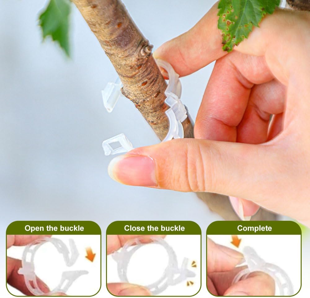 Clip de fijación de plantas, 100150300 piezas de clips para plantas trepadoras, clips transparentes para plantas, clips de soporte para plantas,