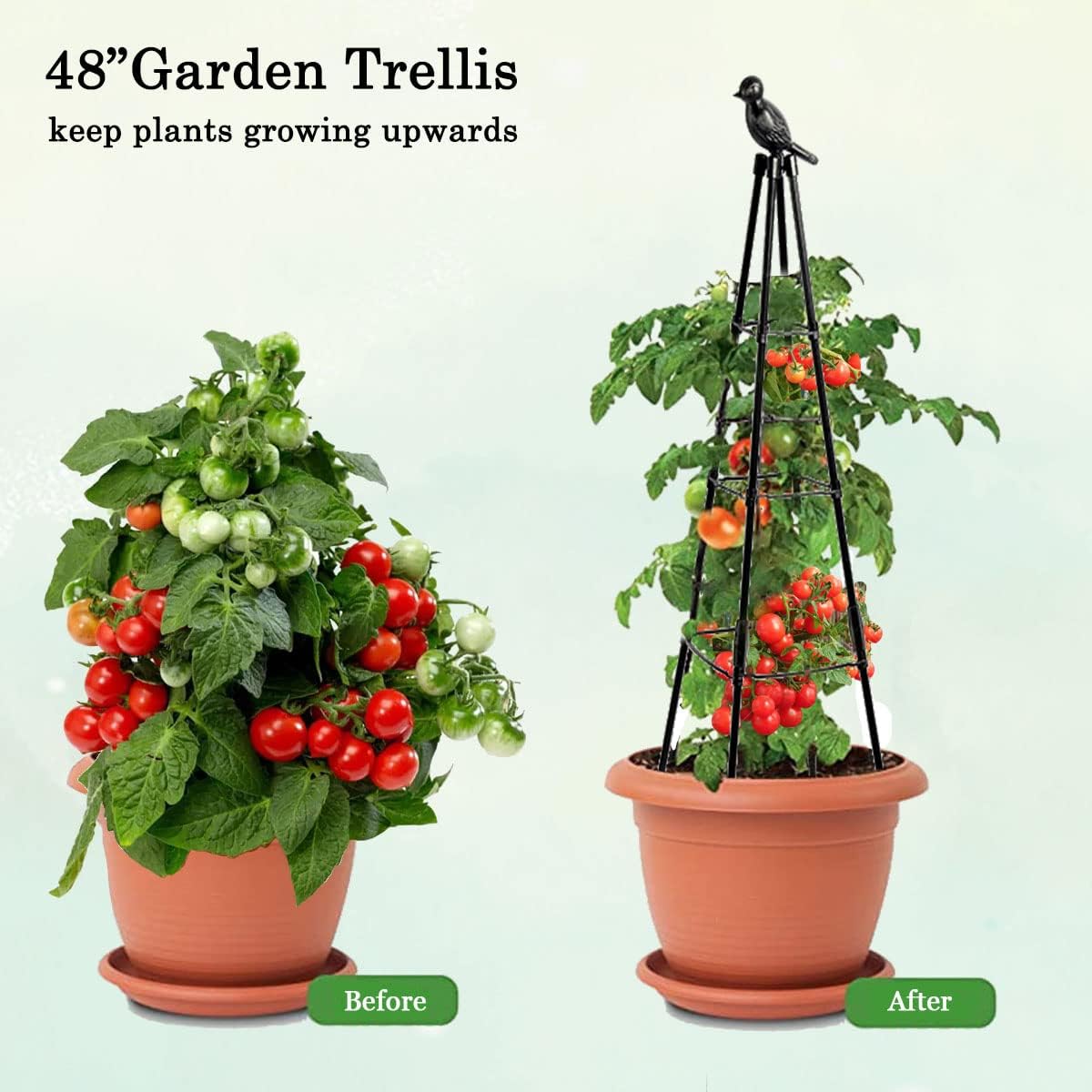 Enrejado de jardín, soporte para plantas trepadoras al aire libre e interior, plantas en maceta, flores, verduras y vides, torre de jaula de tomate,