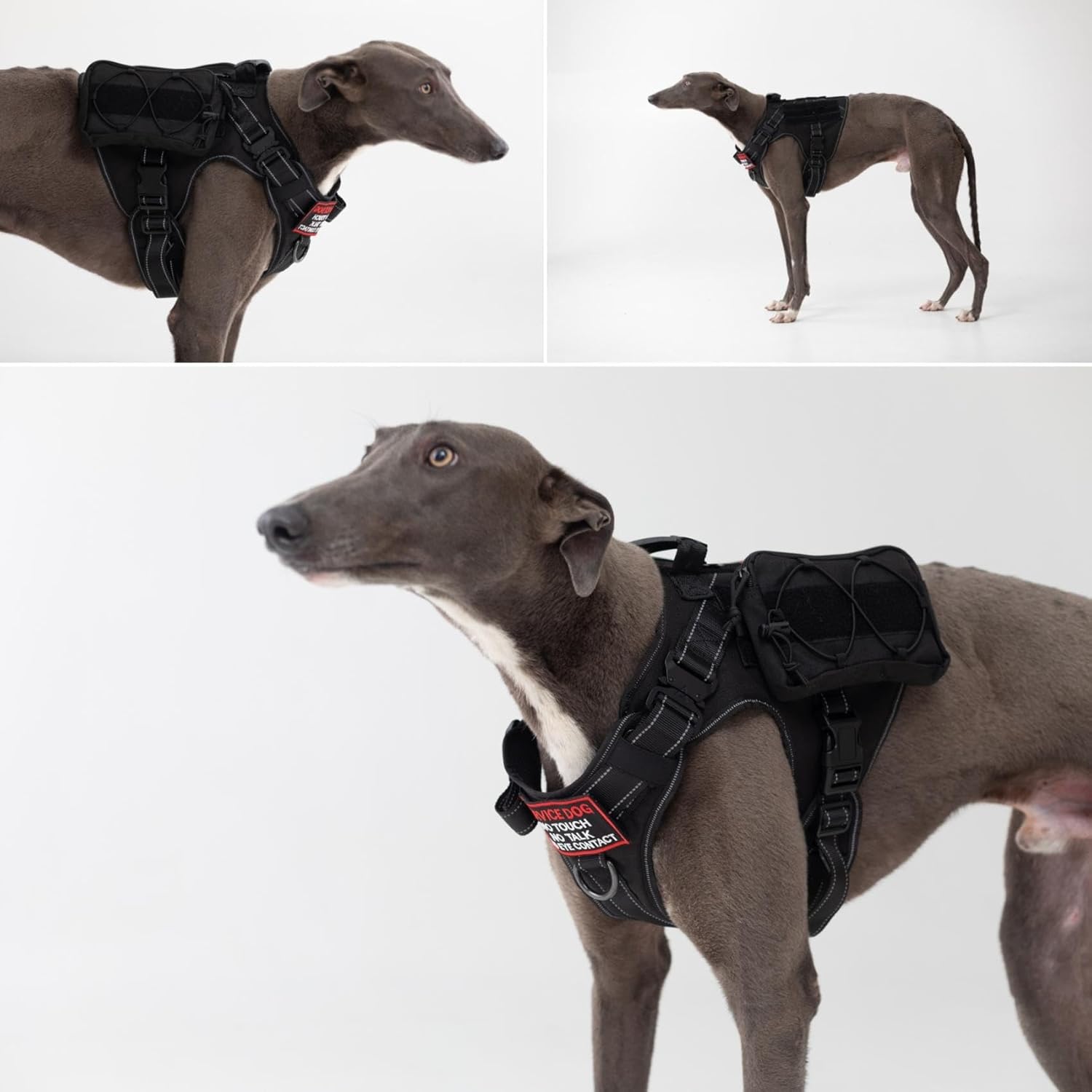 Ohmopie Arnés táctico para perro mediano y grande, arnés ajustable con clip trasero y clip frontal, hebilla de metal resistente, chaleco Molle con