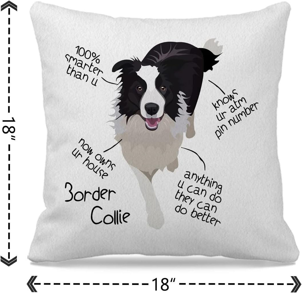 Border Collie – Juego de 2 fundas de almohada de 18 x 18 pulgadas, decoración de perro Border Collie para el hogar, dormitorio, sala de estar,