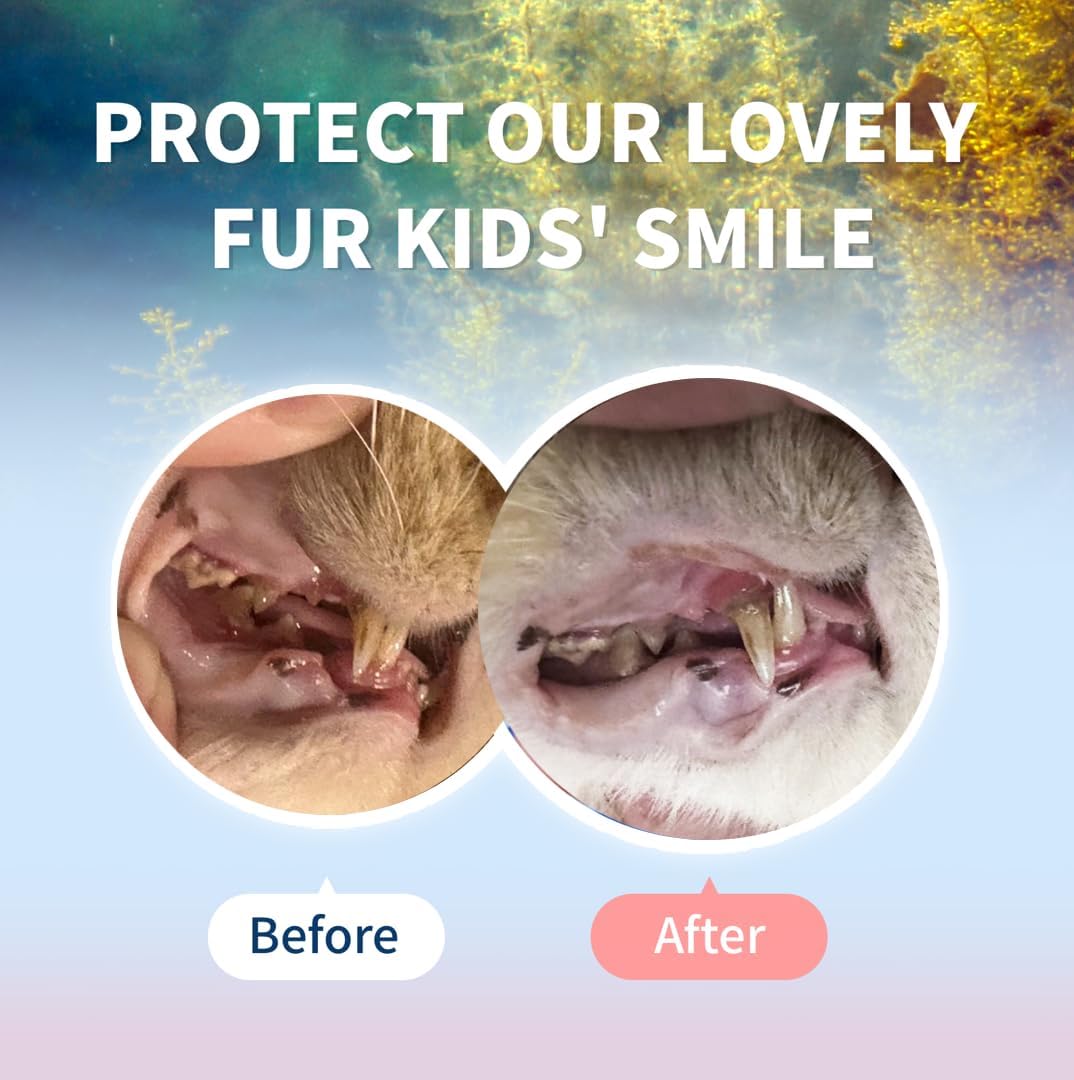 Polvo de limpieza de dientes de gato, alimentación simple, ayuda para eliminar la placa de sarro, elimina el olor oralcuidado dental de mascotas,