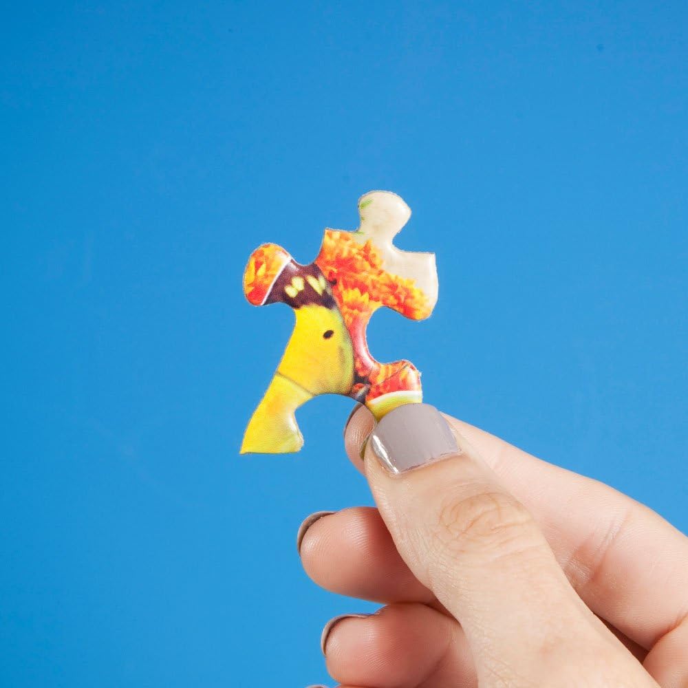 Bits and Pieces – Rompecabezas de 300 piezas para adultos de 18 x 24 pulgadas – Chicken Yard – Rompecabezas de 300 piezas de pollos y pollos gallos