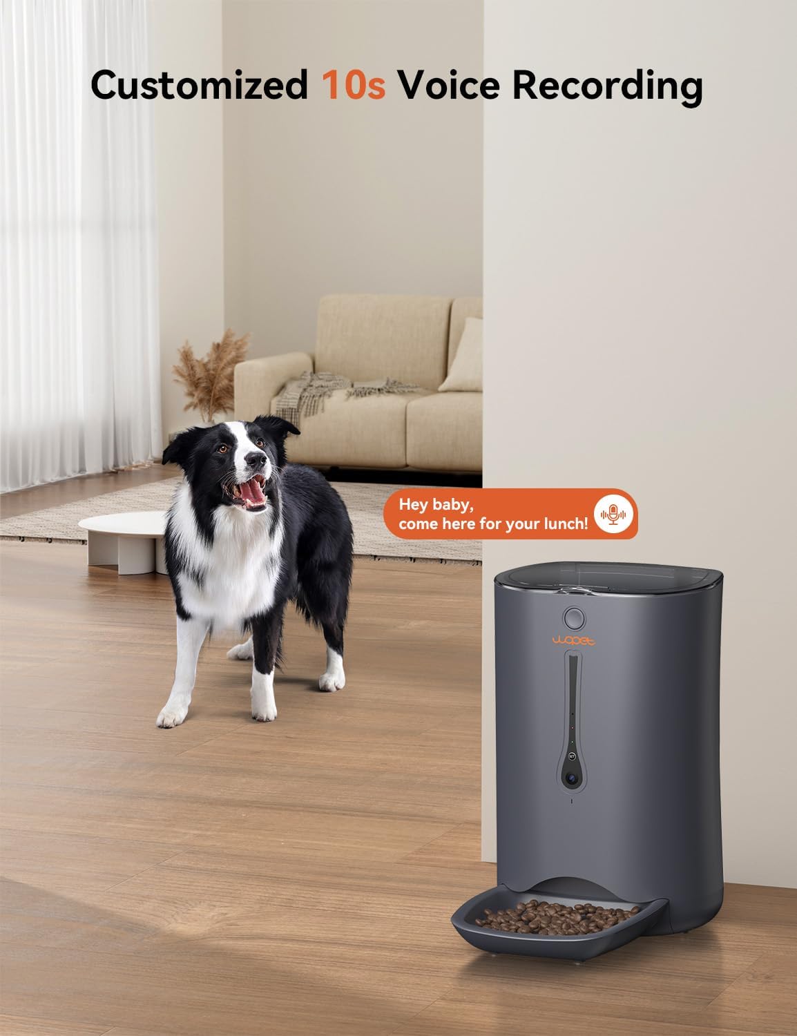 WOPET Dispensador automático de comida para gatos con cámara, alimentador automático WiFi 5G con control de aplicación, alimentador automático para