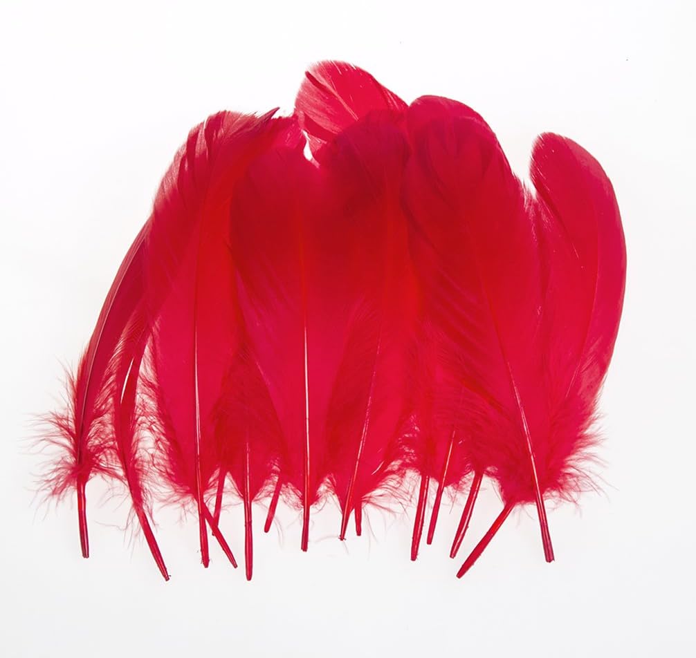 LanShi, plumas de ganso, 100 unidades, 6 a 8 pulgadas, auténticas, para artesanías, joyas