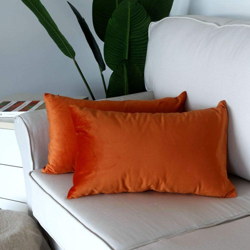 Artcest – Juego de 2 fundas de terciopelo para cojines decorativos, fundas para cojines decorativos sólidos para sofá y cama