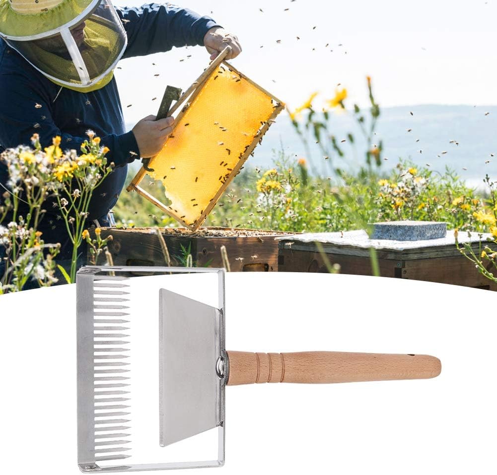 TOPINCN Wide Uncapping Fork, Stainless Steel Beehive Scraper, Ergonomic Wood Handle, Less Wastage and Mess, Beekeeping Apicultural Equipment Tool