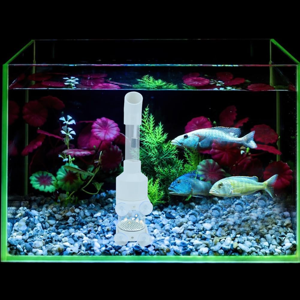 AQ50025 Acrílico 9.8 in x 1.969 in Corto Acuario Cíclidos Vaso Incubadora Peces Incubadora Huevos En lugar de la boca BroodingSuministros de